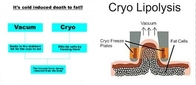 Giá xuất xưởng !!!  New Cryolipolysis RF Cavitation Vacuum Slimming Máy