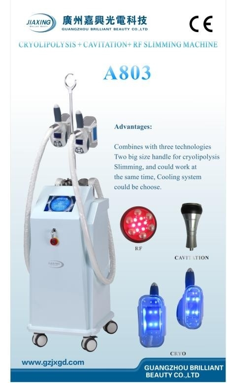 Không xâm lấn Cryolipolysis Slimming Làm đẹp Thiết bị Với 8 inch màu Touch Screen / A804